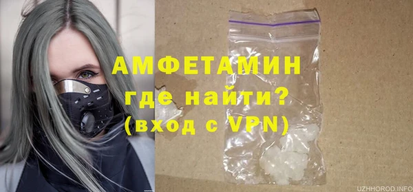 дмт Тайга