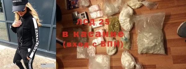 дмт Тайга