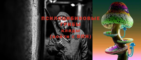 мет Сясьстрой