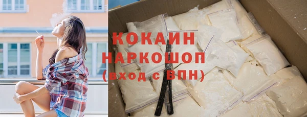 ПСИЛОЦИБИНОВЫЕ ГРИБЫ Тавда
