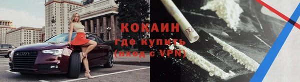 дмт Тайга
