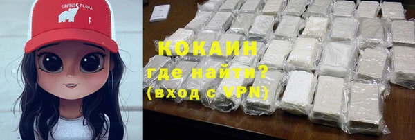 дмт Тайга