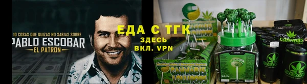 дмт Тайга