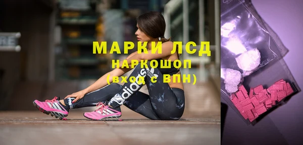 дмт Тайга