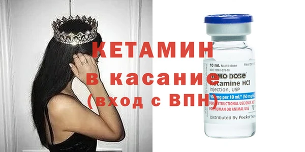 дмт Тайга