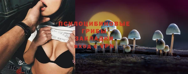 дмт Тайга