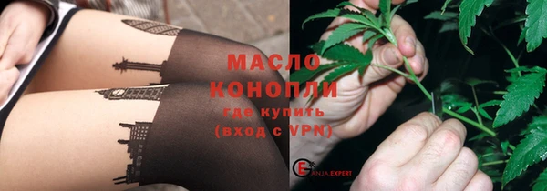 дмт Тайга
