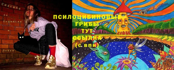 дмт Тайга