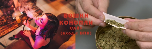 ПСИЛОЦИБИНОВЫЕ ГРИБЫ Тавда