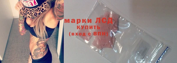 дмт Тайга