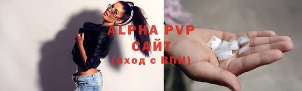 дмт Тайга
