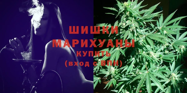 мет Сясьстрой