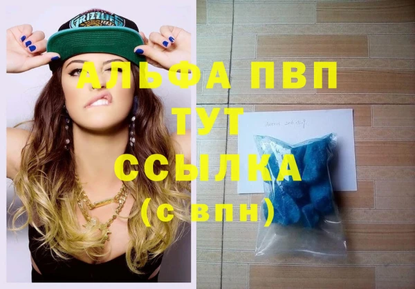 дмт Тайга
