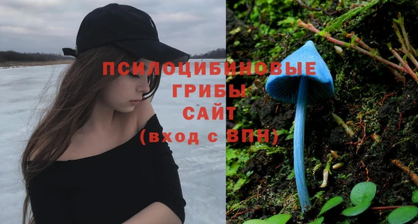 ПСИЛОЦИБИНОВЫЕ ГРИБЫ Тавда