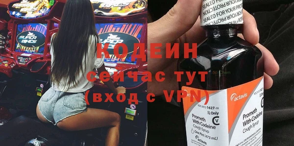 дмт Тайга