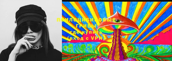мет Сясьстрой