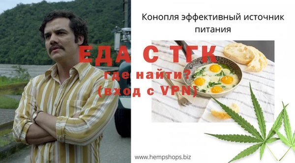 дмт Тайга
