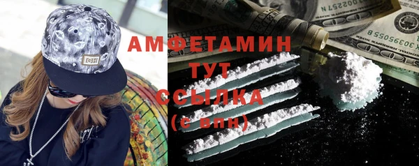 дмт Тайга