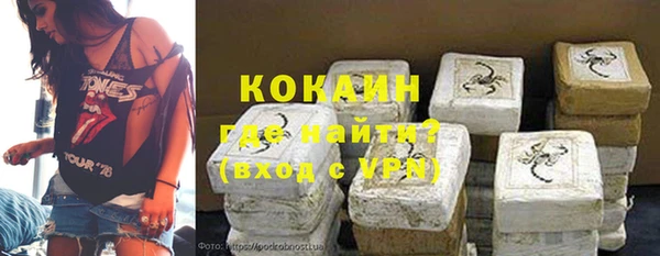 ПСИЛОЦИБИНОВЫЕ ГРИБЫ Тавда