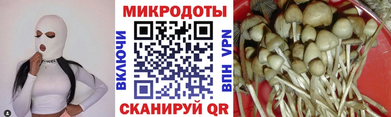 купить   Красноярск  Псилоцибиновые грибы мухоморы 