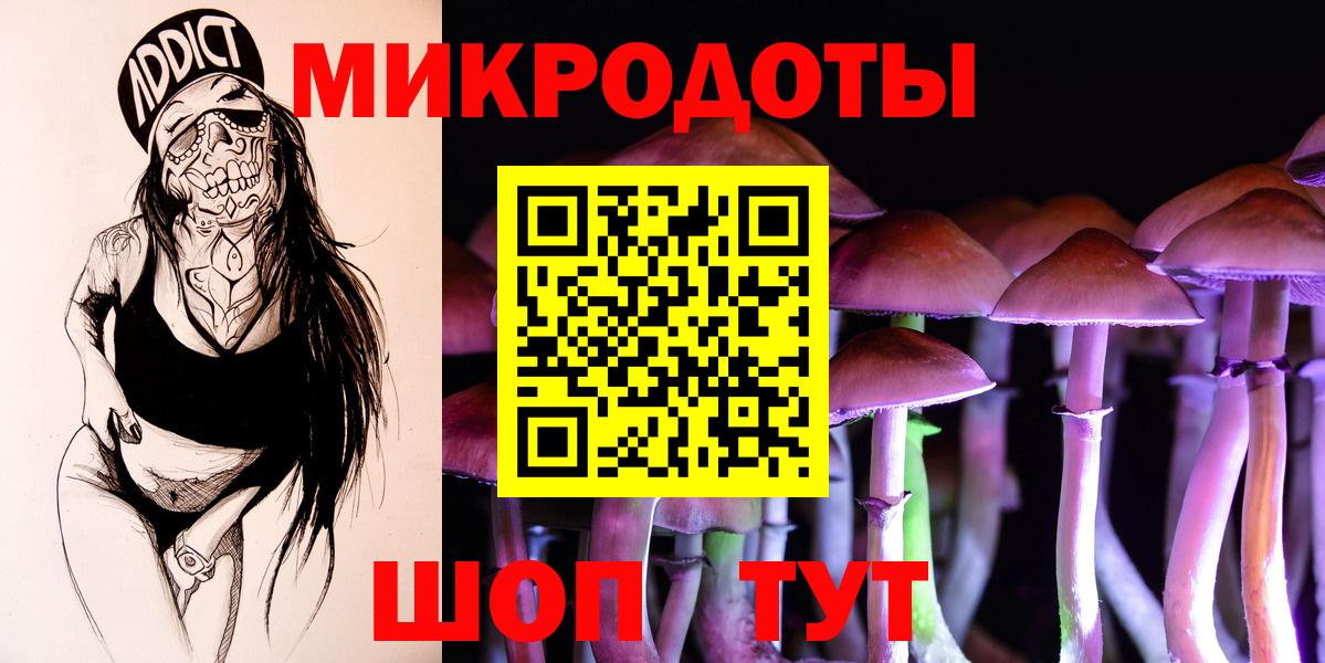 Псилоцибиновые грибы Cubensis Красноярск