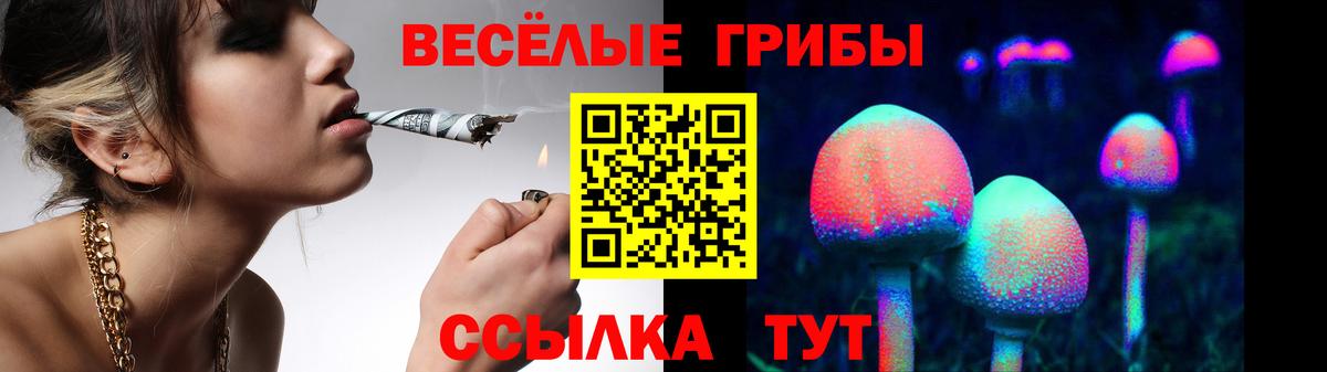 ГАШ Красноярск