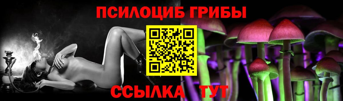 Псилоцибиновые грибы мицелий  купить закладку  Красноярск  Вход с VPN 